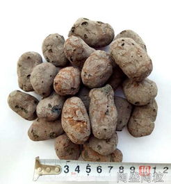 上海陶粒认准陶盛陶粒,上海回填陶粒批发