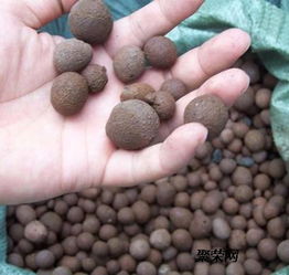 广东河源回填陶粒质量好不好