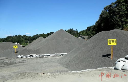 湖南东能投资集团董事长罗山东一行来桃江考察洽谈项目