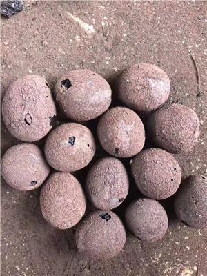 云南陶粒价格_昆明陶粒厂家_昆明陶粒价格