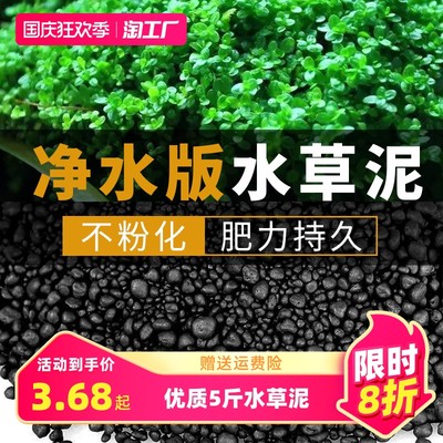 当前网购流行产品