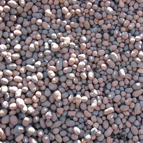 页岩陶粒 建筑专用页岩陶粒 碎石陶粒