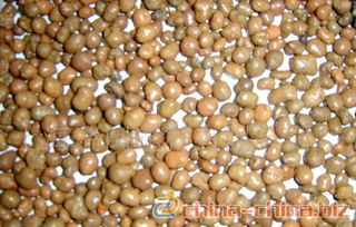 陶粒 多样规格与广泛应用的生产指南