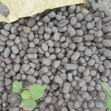 惠州市新型陶粒厂 创新驱动，绿色陶粒引领未来